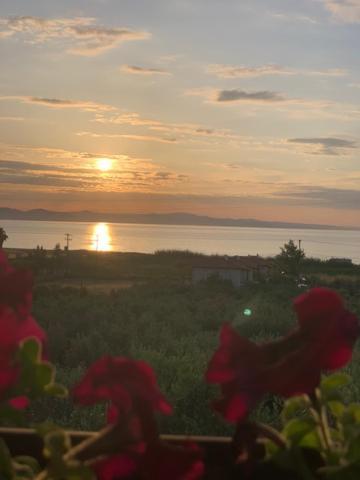 Apartmán Kalelia Nea Poteidaia Exteriér fotografie
